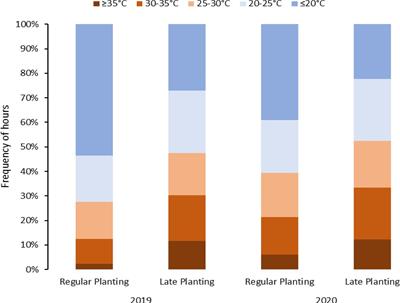 Assessing heat tolerance in potatoes: Responses to stressful Texas field locations and controlled contrasting greenhouse conditions